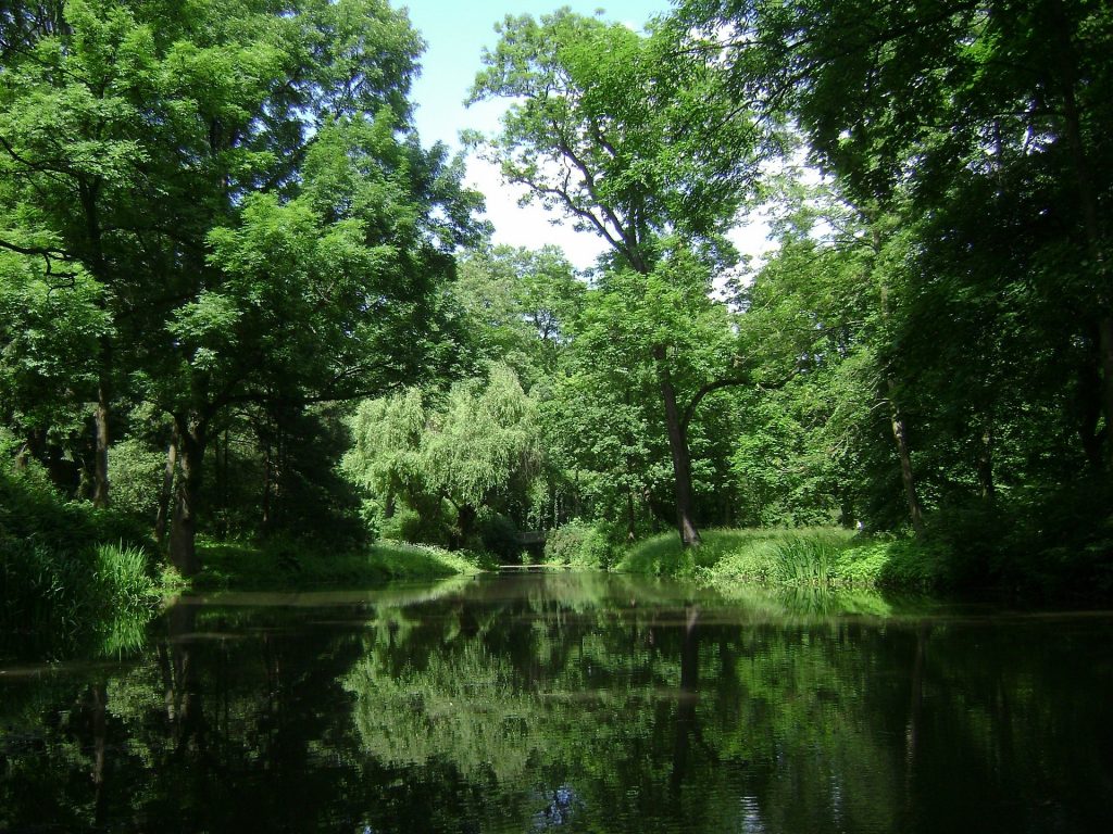 Park usytuowany nad stawem - jedna z zielonych atrakcji Warszawy